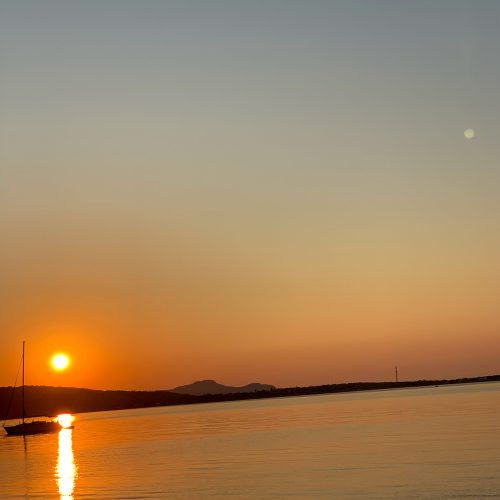 IMG_0555 IMG_0555